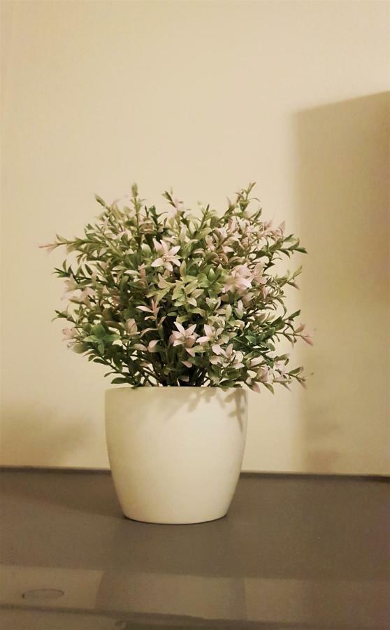 Apartment Glamour Downtown Balcony 克拉科夫 外观 照片